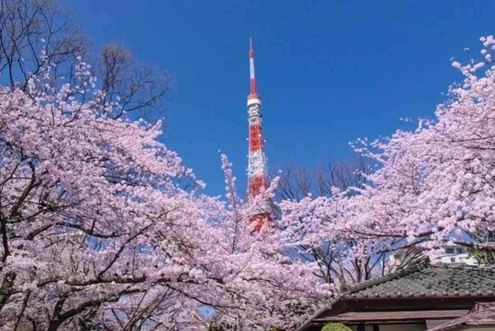 Five Room 120 Sky Tree Sensoji Freeparking 1292Sqft Tokyo Esterno foto